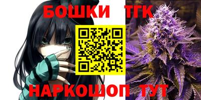 меф Долгопрудный